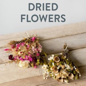 Dried Flowers