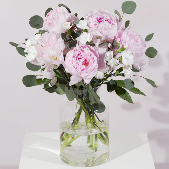 Simply Peonies