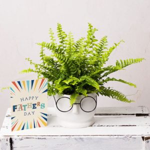 Father’s Day Plant Gift