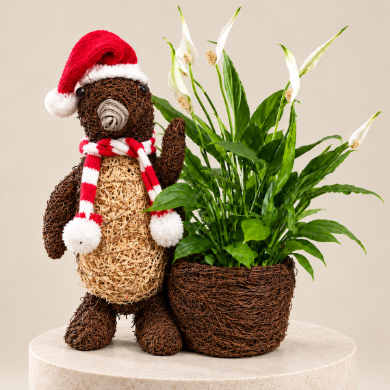 Festive Penguin Planter