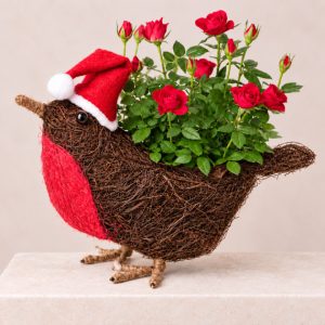 Santa Hat Robin Planter